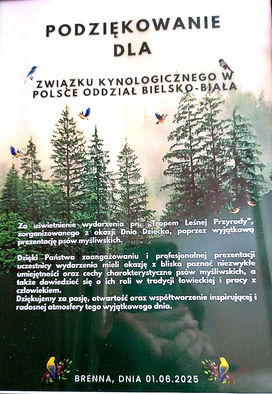 Obraz zawierający tekst, choinka, drzewoZawartość wygenerowana przez AI może być niepoprawna.